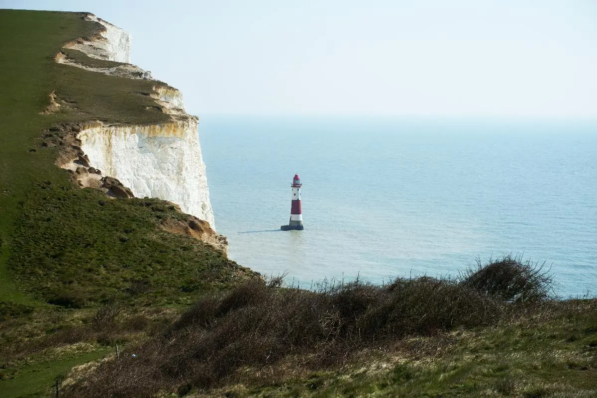 Excursions d'une journée au départ de Londres : Explorer la côte et les falaises