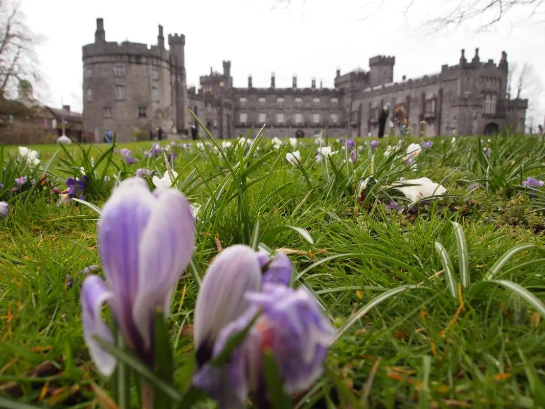 Unique Day Trips from Dublin: Charming Villages to Get Away