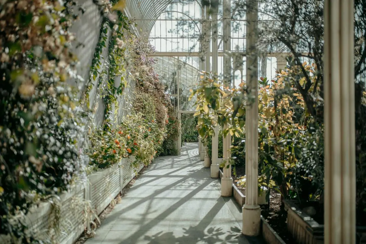 The Keys to Enjoying Dublin's Parks & Gardens All Year Long