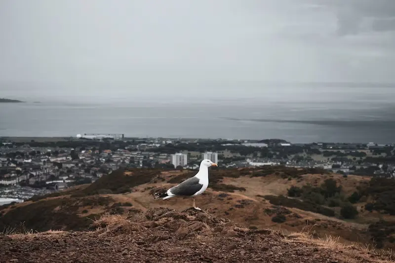 Ce qu'il faut savoir AVANT d'explorer Arthur's Seat et Holyrood Park