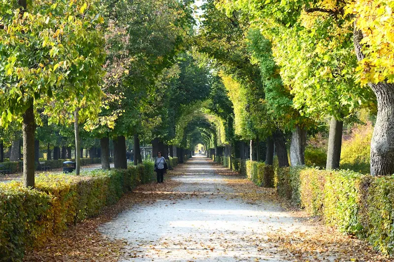 Les beaux parcs de Vienne : 10 endroits idéaux pour se détendre