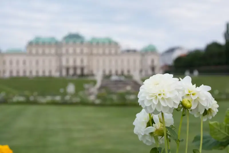 Vienna: 15 consigli per visitare il Palazzo del Belvedere