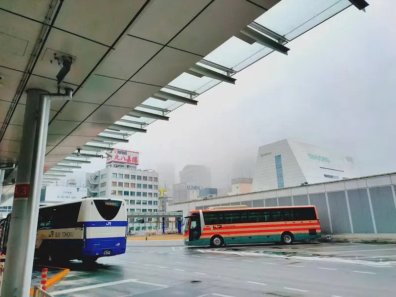 Qual è il modo migliore per viaggiare da Tokyo a Hokkaido?