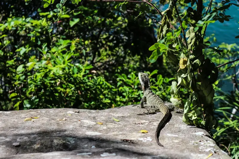 As 10 áreas turísticas mais incomuns para visitar em Sydney