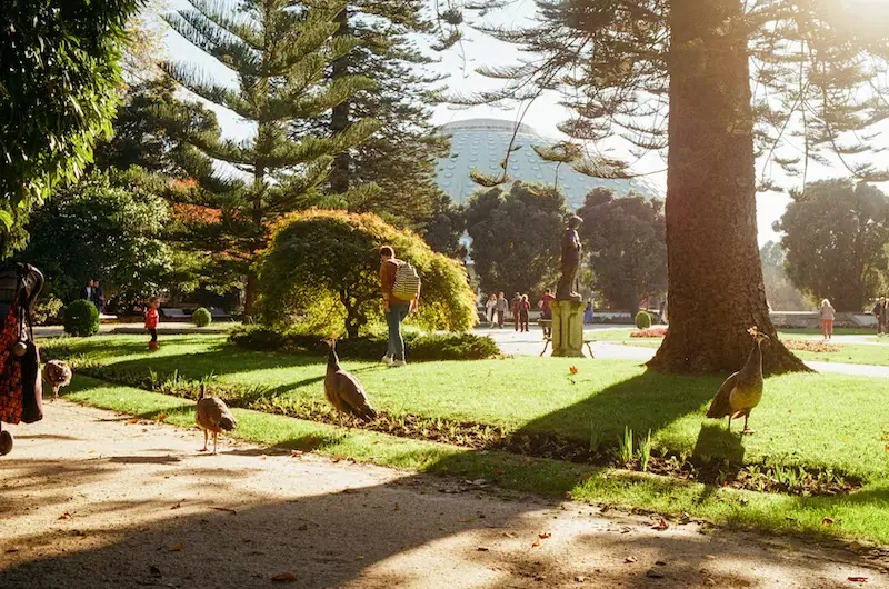 Retiros tranquilos: 14 Parques e Jardins no Porto