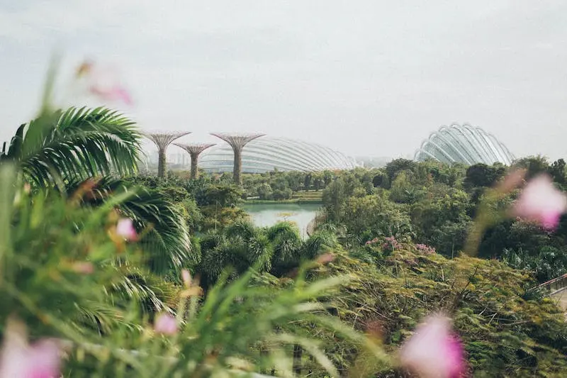 Serenidad en la naturaleza: Explorando los jardines y parques de Singapur