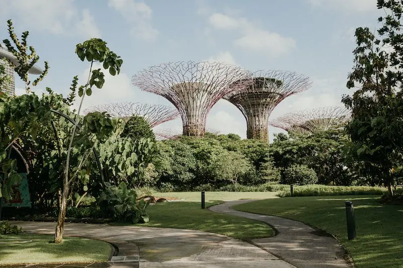 Relajarse en los oasis urbanos de Singapur