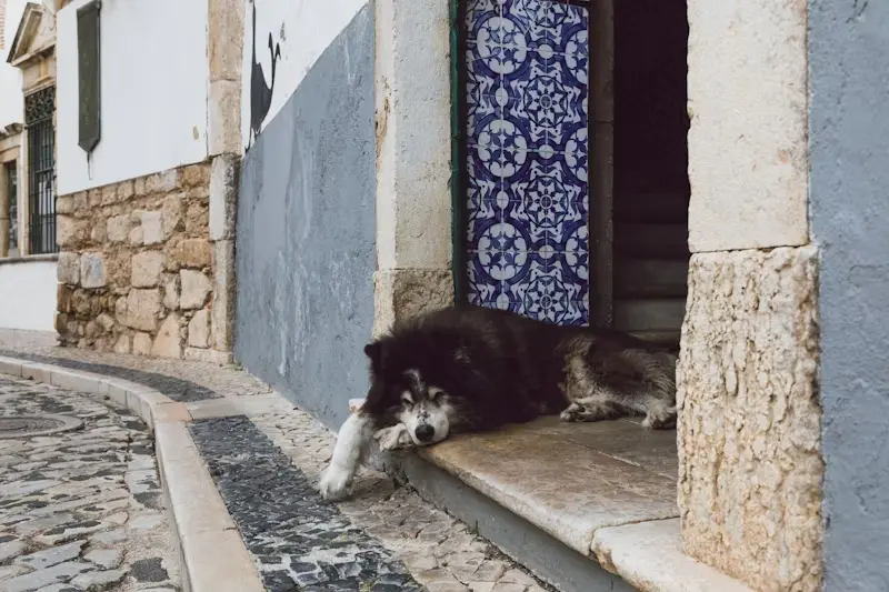 Um Guia Completo das Praias de Faro