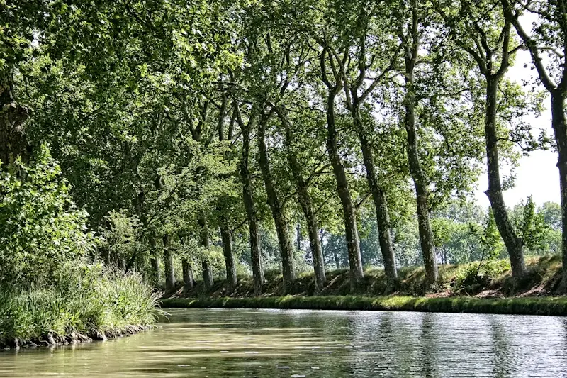 Cinq excursions pittoresques au départ de Toulouse