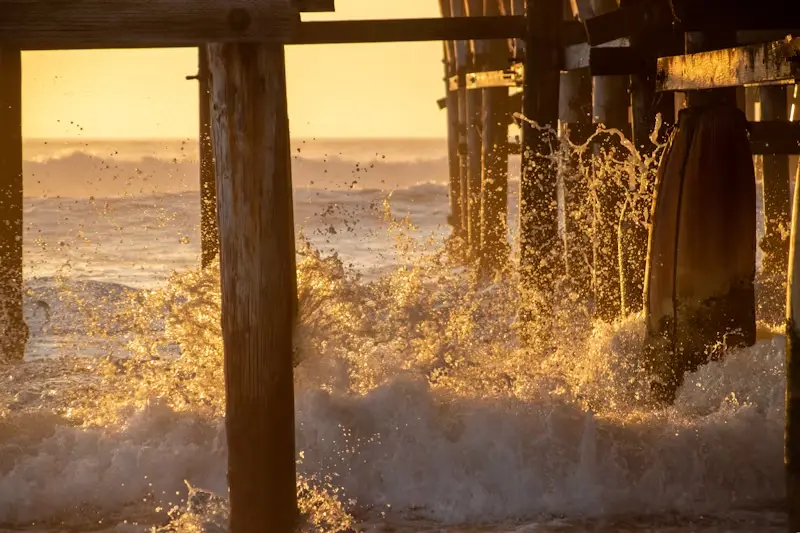 We vroegen het aan de lokale bevolking en dit zijn de beste stranden van San Diego