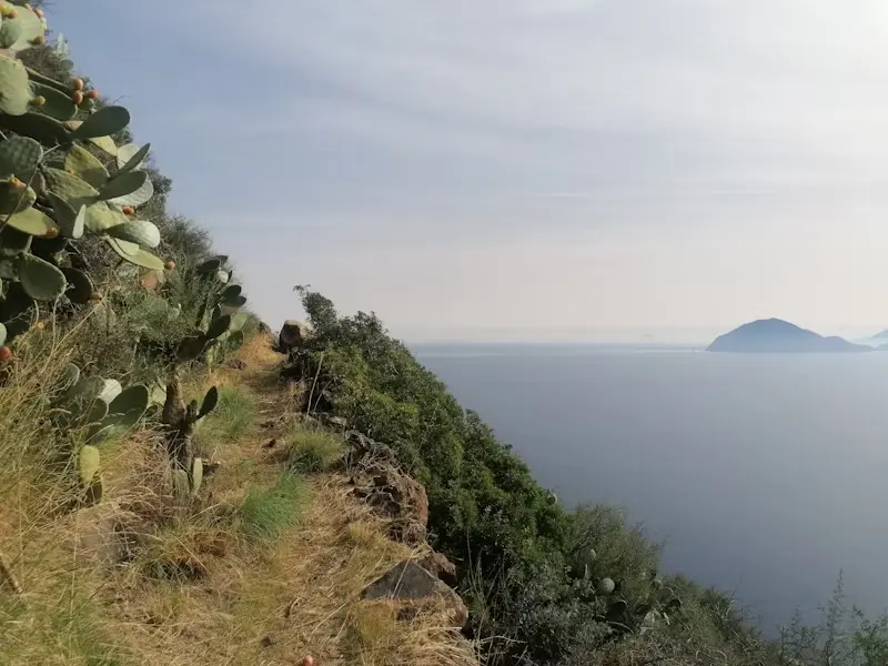 Passeggiata sul Lungomare di Salerno e Giardino Botanico della Minerva