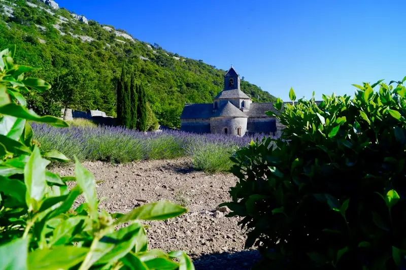 Day Trips from Montpellier: Pic Saint-Loup, Vineyards & More